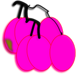 image grapes