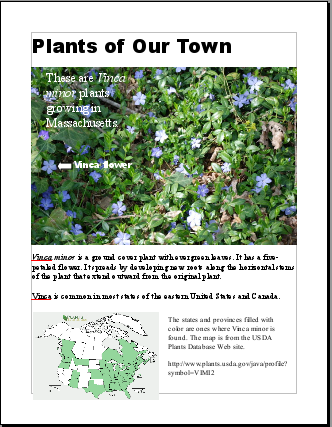 Full page of completed project image: Plants of Our Town Project